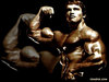 Arnold 1